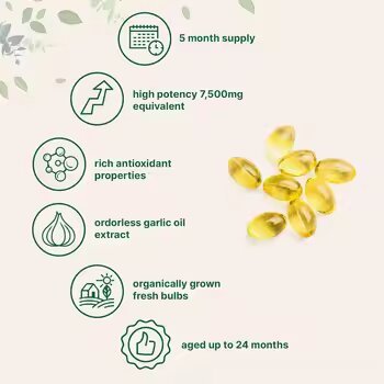 Odorless Aged Garlic Extract Softgels