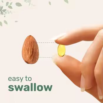 Odorless Aged Garlic Extract Softgels