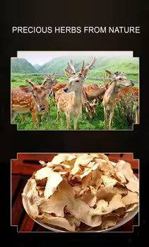 Deer Penis and Kidney Compressed Candies