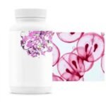 Resveratrol Capsules