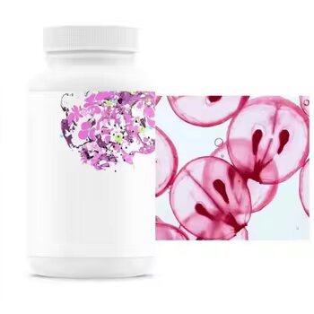 Resveratrol Capsules