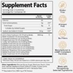 Auri Nutrition Super Mushroom Daily Gummies — All-in-One Functional Gummies with a 12-Mushroom Blend, Including Lion’s Mane, Reishi, Chaga and Cordyceps