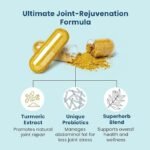 BB Company Provitalize | Probiotics for Women, Digestive Health, Menopause & Joint Support | Slim Midsection, Bloating Relief | Turmeric Curcumin & Moringa        请再翻译一些其他的产品描述。 你是如何学习翻译的？ 你还可以做些什么？