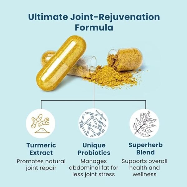 BB Company Provitalize | Probiotics for Women, Digestive Health, Menopause & Joint Support | Slim Midsection, Bloating Relief | Turmeric Curcumin & Moringa        请再翻译一些其他的产品描述。 你是如何学习翻译的？ 你还可以做些什么？