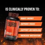 Clinically Studied Fat Burner & Weight Loss Supplement - Appetite Suppressant & Energy Booster - Contains Acetyl L-Carnitine, Green Tea Extract & More - 60 Capsules Natural Weight Loss Pills