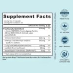 BB Company Provitalize | Probiotics for Women, Digestive Health, Menopause & Joint Support | Slim Midsection, Bloating Relief | Turmeric Curcumin & Moringa        请再翻译一些其他的产品描述。 你是如何学习翻译的？ 你还可以做些什么？